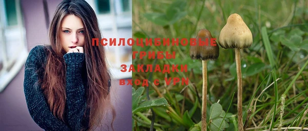кокс Баксан