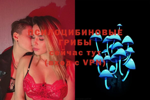 кокс Баксан
